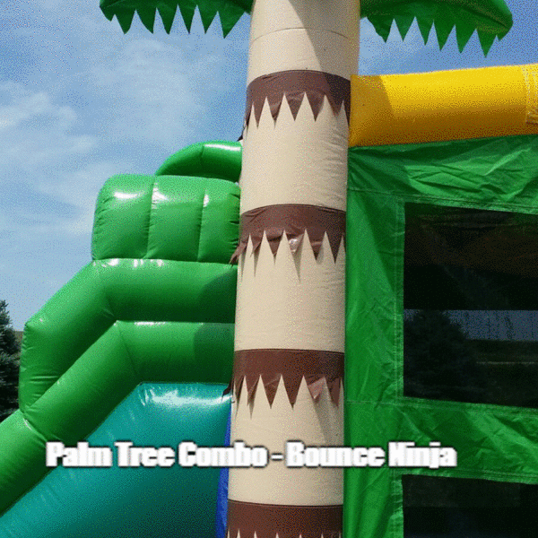 Palm Tree Combo Wet/Dry w/pool